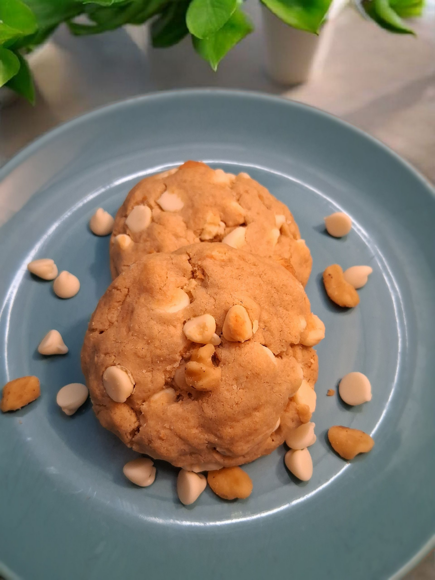 Macadamia nuts