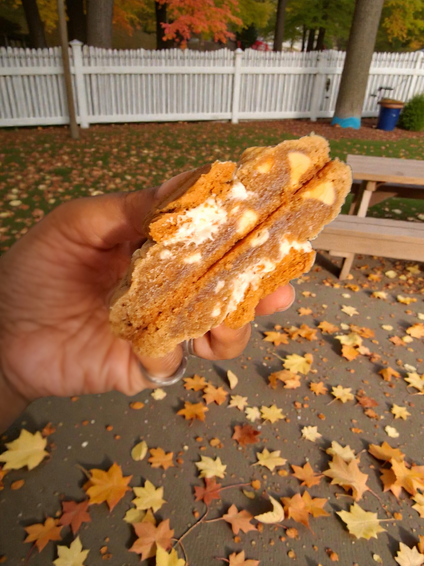 Biscoff cookies