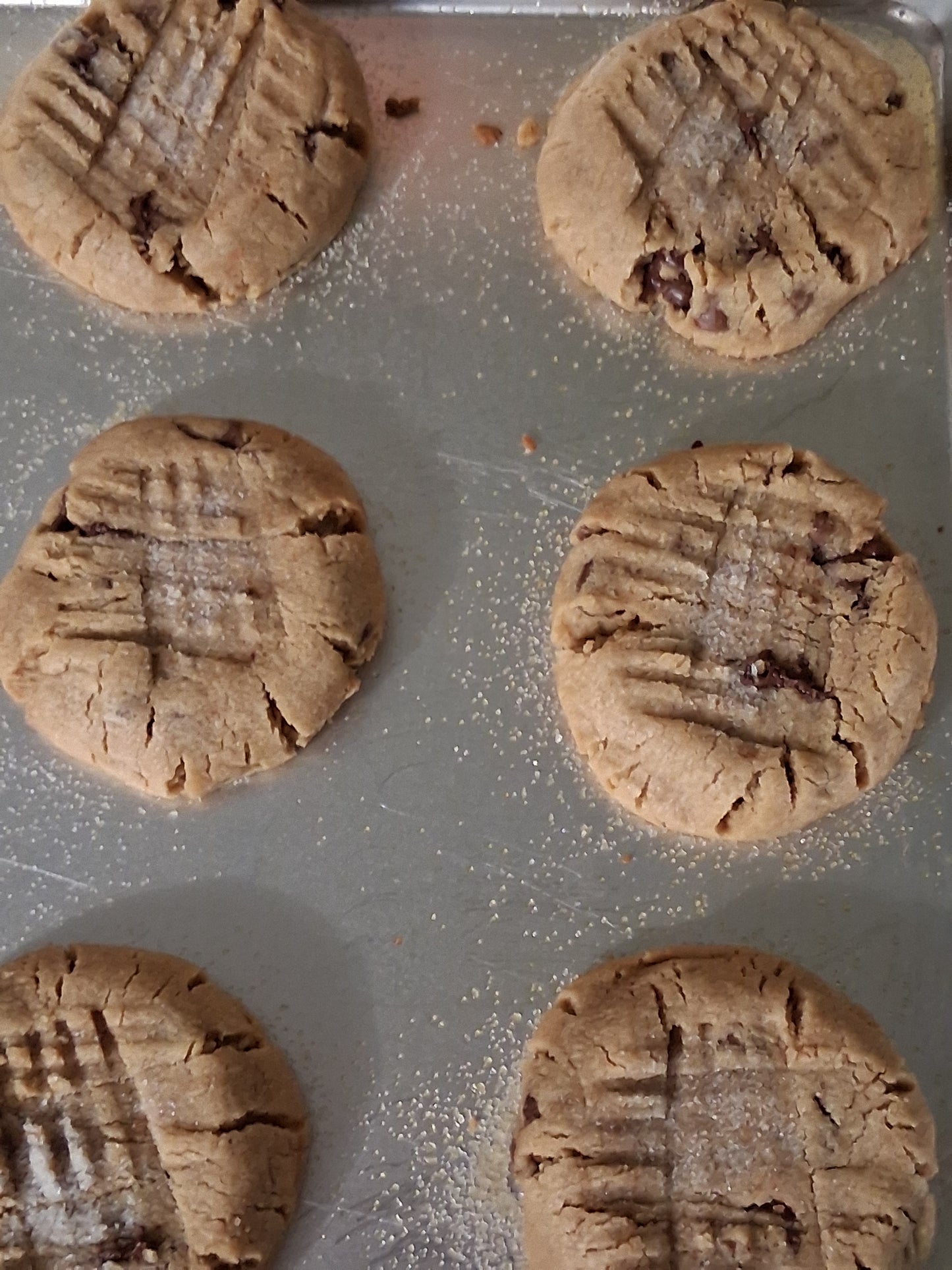 Peanut butter & Peanut butter chip combo
